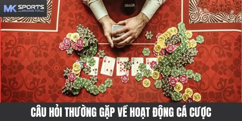 Câu hỏi thường gặp về hoạt động cá cược tại Mksports